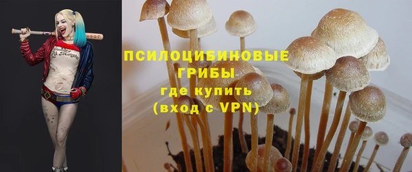 герыч Алзамай