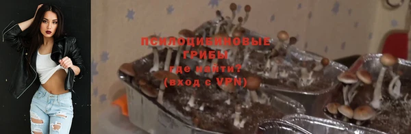 герыч Алзамай