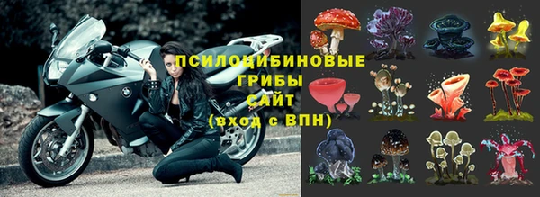 прущие крисы Алексин