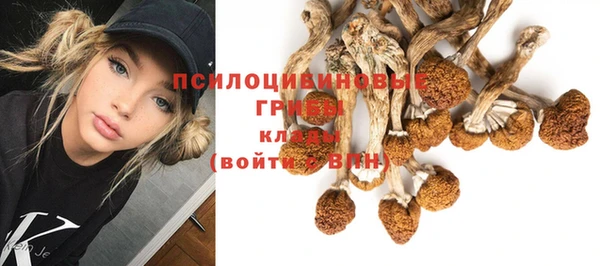 герыч Алзамай