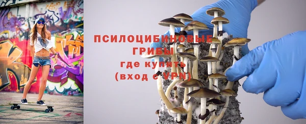трава Каменногорск