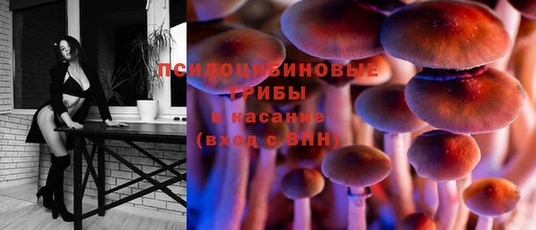 прущие крисы Алексин