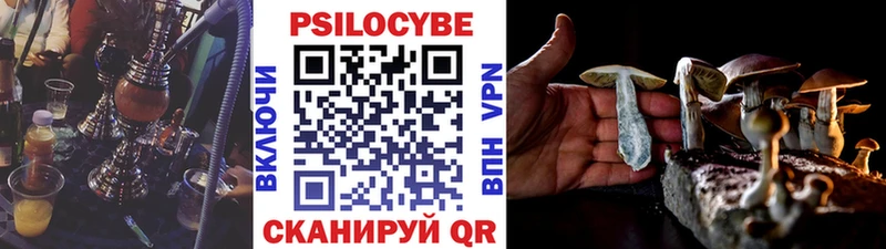 купить наркотики цена Красноярск Галлюциногенные грибы прущие грибы