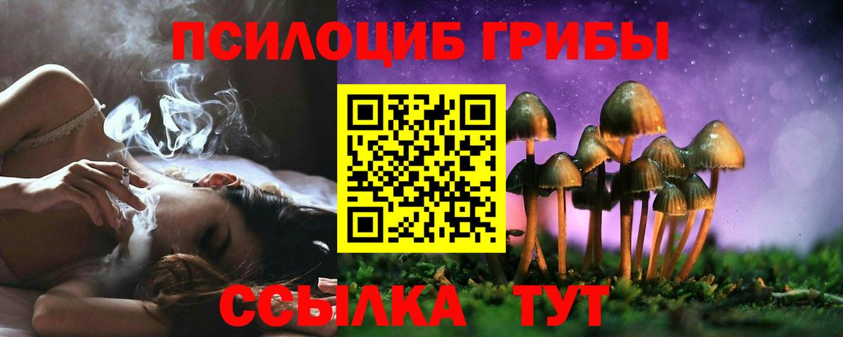 Псилоцибиновые грибы мицелий  Псилоцибиновые грибы Cubensis  Красноярск  Вход с VPN 